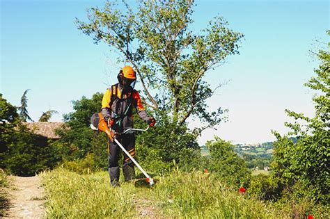 Guide to pruning lavender in simple steps – Oleomac