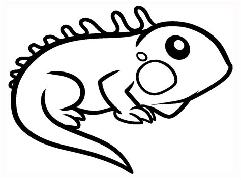 Green Iguana Coloring Pages | Cute easy animal drawings, Easy animal ...