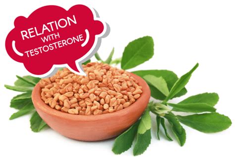 Fenugreek Testosterone Review: Benefits, Dosage & Side Effects Guide!