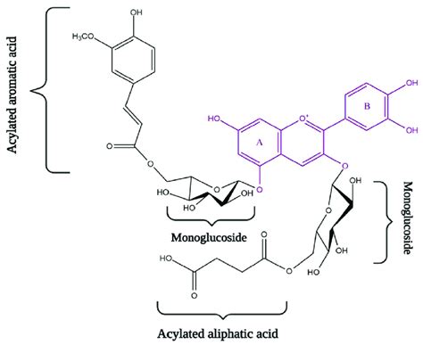 General chemical structure of anthocyanidin (flavylium cation) with... | Download Scientific Diagram