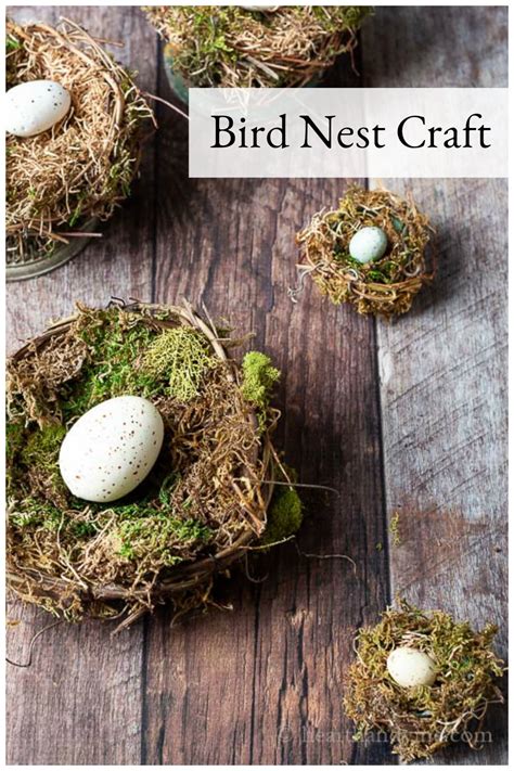 Bird Nest Craft for Your Spring Decor | Hearth and Vine