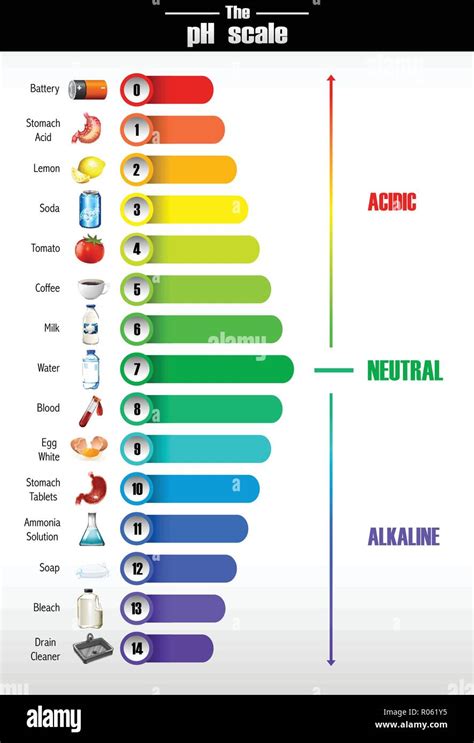 A science of pH scale illustration Stock Vector Image & Art - Alamy