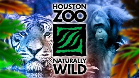 10 Things You Didn't Know about the Houston Zoo