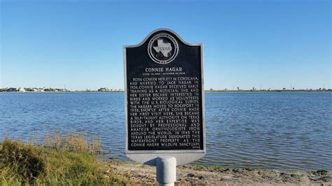 History Of State Of Texas Historical Markers | Thc.texas.gov - Texas ...