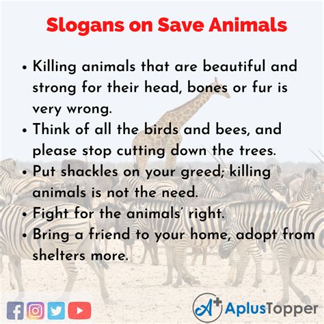 Slogans on Save Animals | Unique and Catchy Slogans on Save Animals in English - A Plus Topper