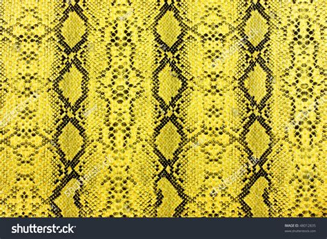 Snake Skin Yellow Stock Photo 48012835 - Shutterstock