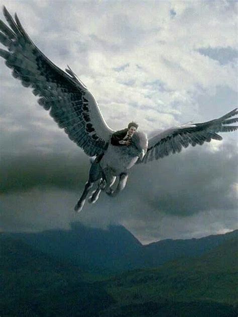 Hippogriff | Harry potter, Harry potter filmleri, Hogwarts