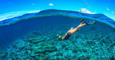 Best Snorkelling Spots In The Caribbean | Traveler by Unique