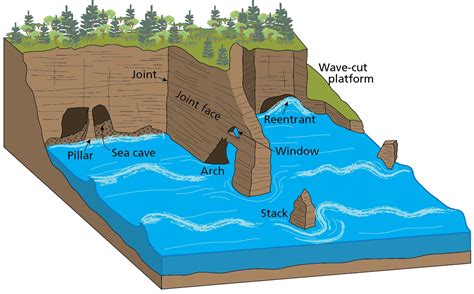 Sea/Littoral Caves - Caves and Karst (U.S. National Park Service)