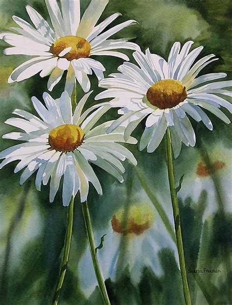 Daisy Trio Painting by Sharon Freeman