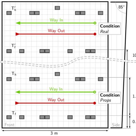 Schematic view of the climbing routes. Two identical climbing routes at... | Download Scientific ...