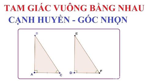 Tam giác vuông là gì? Cách tính diện tích tam giác vuông chuẩn xác