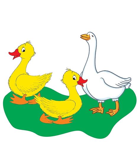 duck duck goose clipart 10 free Cliparts | Download images on Clipground 2023