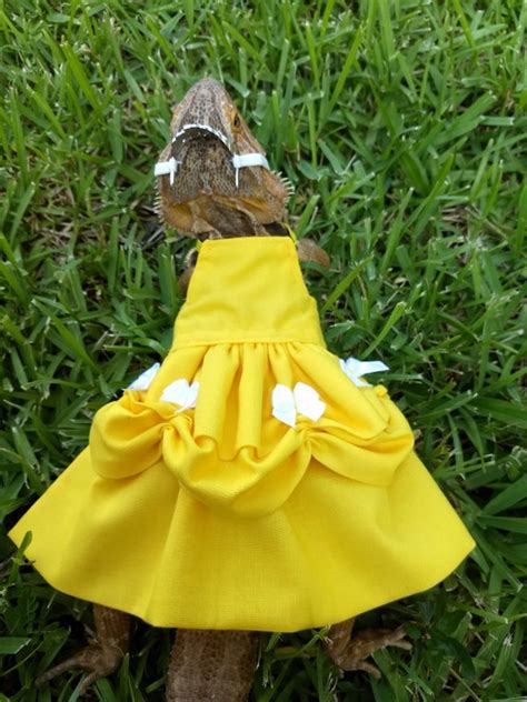 Belle Princess Bearded Dragon Costume Dress MADE IN AMERICA | Etsy