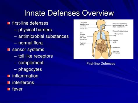 PPT - Innate Immune Response PowerPoint Presentation, free download ...