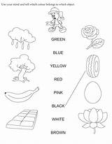 Download English Activity worksheet Use Your Mind And Tell Which Colour  sketch template
