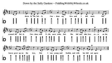 Down by the Sally Gardens - Folk Song - Tin Whistle - Tab Tutorial | Fiddling with my Whistle