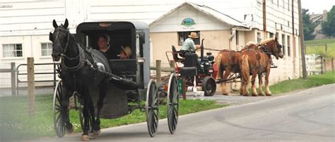 About the Amish, Mennonites & the "Plain People"