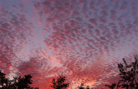 Evening sky. Pink mood | Captured by Samsung Pro815 in Tomsk… | Flickr