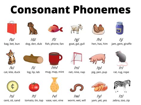 Phonemic Awareness: A Guide to Phonemes with Visual Examples