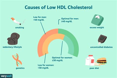 What Causes Low HDL Cholesterol Levels? (See Article). https://www ...