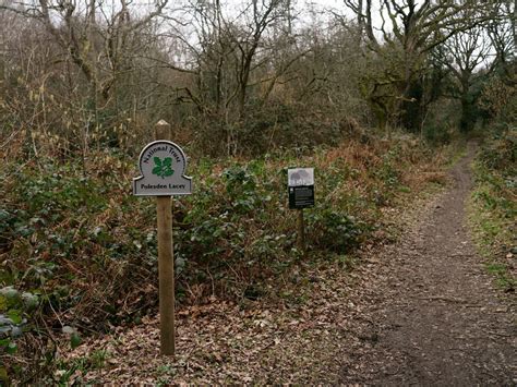 Polesden Lacey Estate © Peter Trimming :: Geograph Britain and Ireland