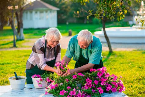 Jardinage senior : les avantages pour la santé | Stannah