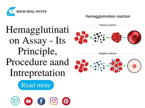 Hemagglutination Assay - Its Principle, Procedure and Interpretation - Microbial notes