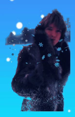David Cassidy, Tribute, Bloom, Heartthrob, Gifs, Fictional Characters, Rose, Pink, Fantasy ...