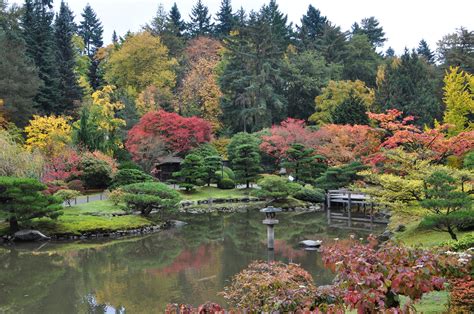 The Power of Stone in the Seattle Japanese Garden — Seattle Japanese Garden