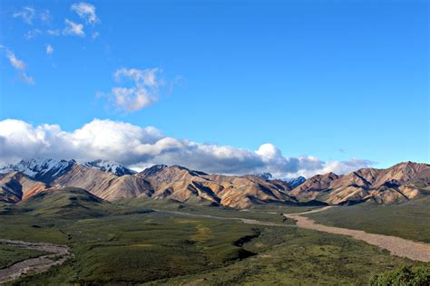 Road trip through Denali National Park - Road trippin' USA