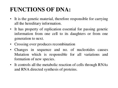 DNA RNA