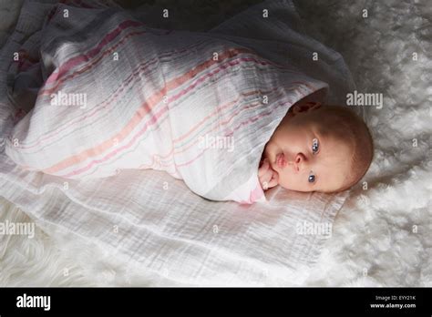 Newborn baby swaddled in blanket Stock Photo - Alamy