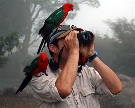 [Download 44+] Binoculars For Bird Watching Canada