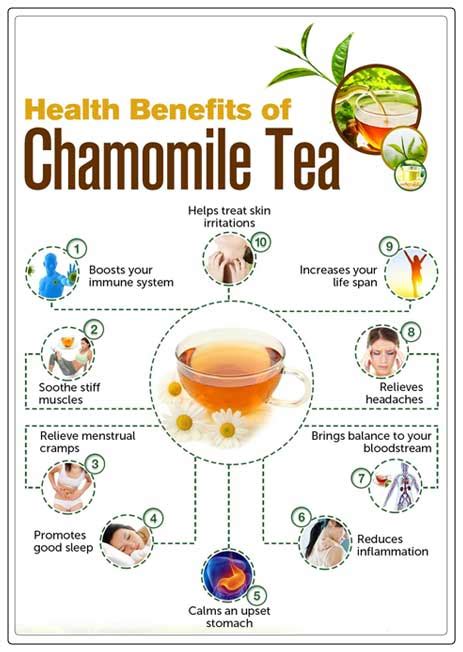 Chamomile Tea Benefits for Your Health - REPC