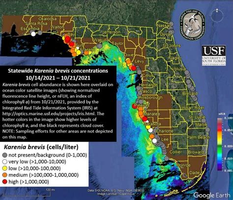 Red Tide East Coast Florida Map - Gretna Hildegaard