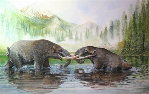 Mastodon – Peter Schouten Wildlife Artist | Megafauna, Prehistoric wildlife, Prehistoric animals