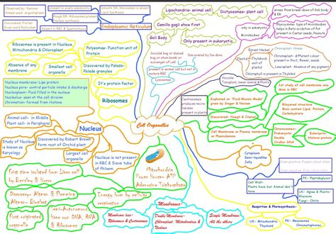 Cell Organelles Mindmap | Cell organelles, Biology notes, Biology lessons