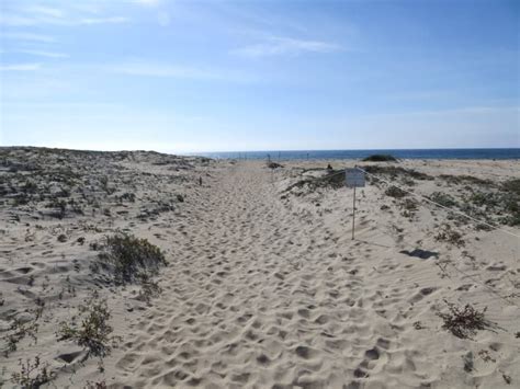 Salinas River National Wildlife Refuge, Salinas, CA - California Beaches