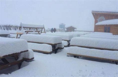 20" of New Snow in Alps Today | Photo Tour: - SnowBrains