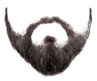 Beard PNG, Beard Transparent Background - FreeIconsPNG