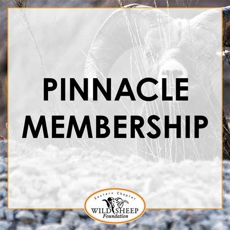 Pinnacle Membership | Eastern Chapter Wild Sheep Foundation