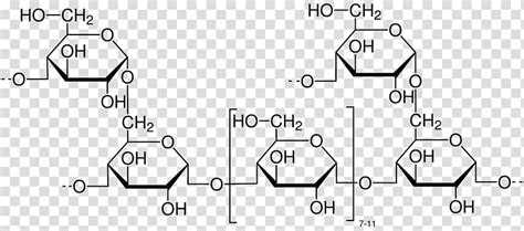 Polysaccharide Chemical Structure