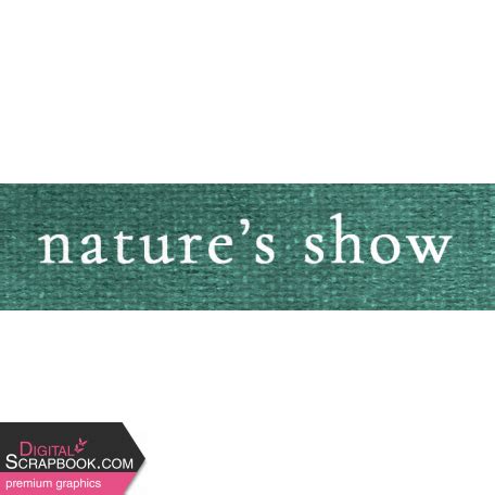 Frosty Fall Nature's Show Word Art Snippet graphic by Jessica Dunn ️ | DigitalScrapbook.com ...