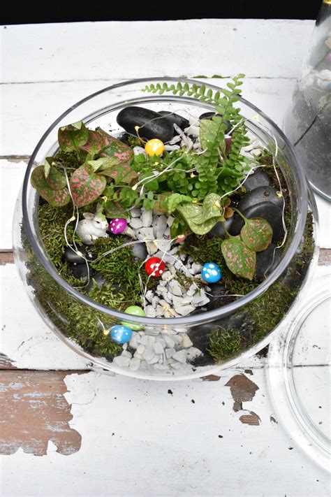 DIY Glass Terrarium - Nesting With Grace