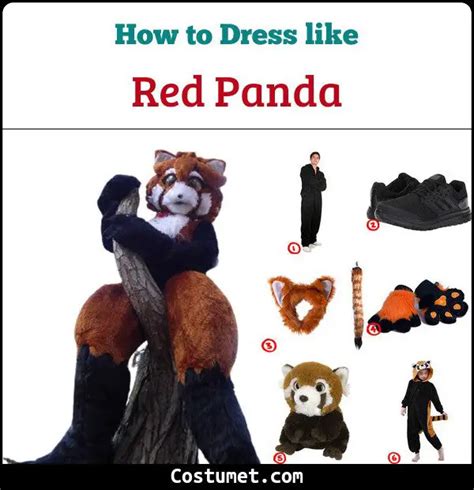 The Red Panda Costume for Halloween