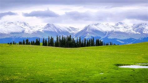 新疆喀拉峻草原风景桌面壁纸 - tt98图片网