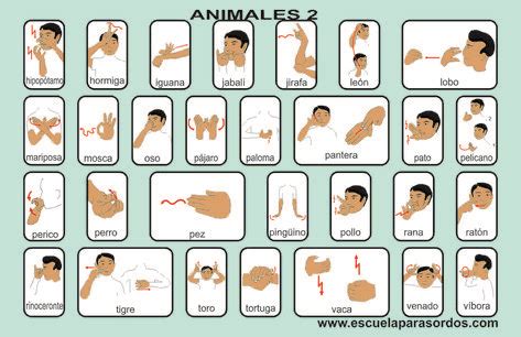 17 Mexican Sign Language ideas | sign language, language, learn sign ...