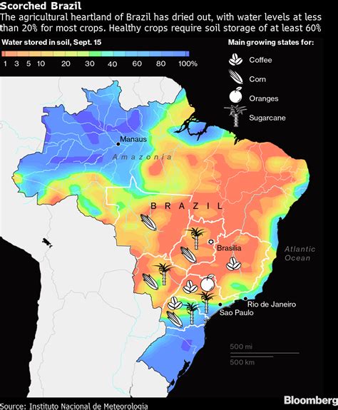 Věrný Adaptivní Napier brazil climate map Ztmavnout Kůra nevěsta