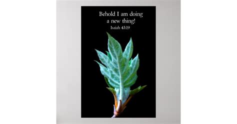 Behold I am doing a new thing Poster | Zazzle